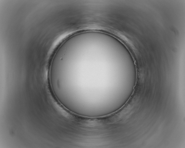 X0000113031416200909101848