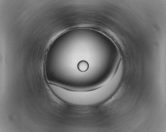 X0000113031417200909101848