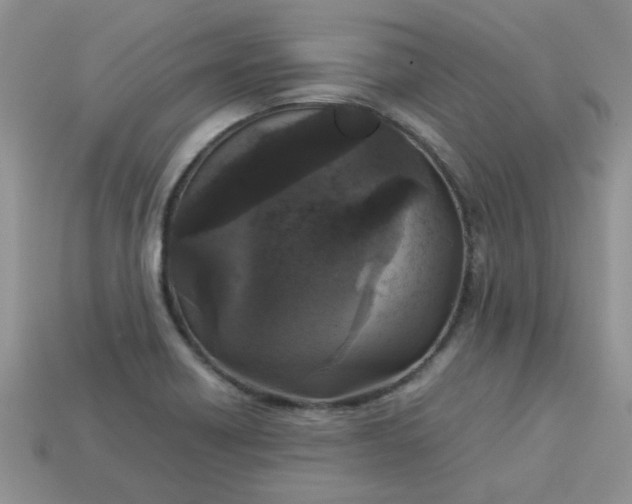 X0000113031418200909101848