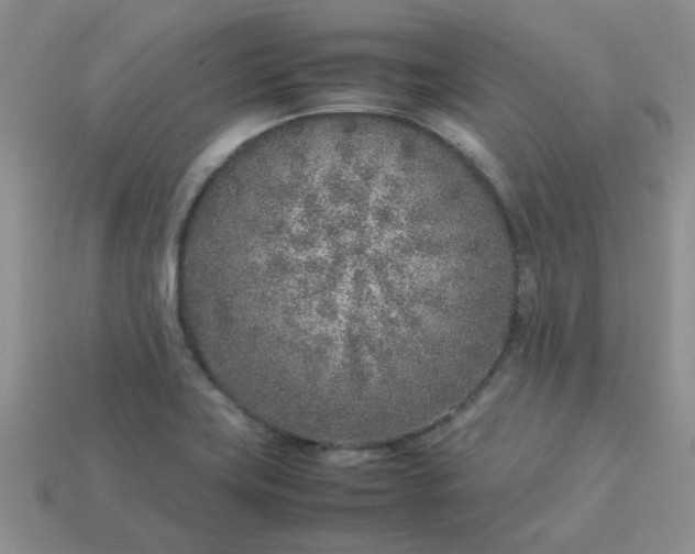 X0000113031419200909101848