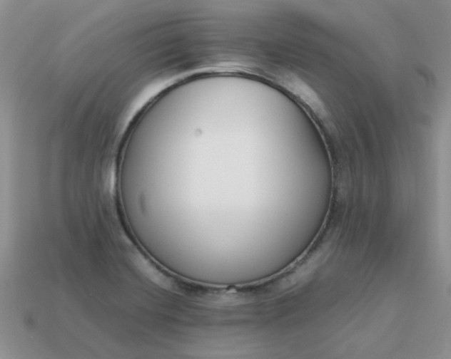 X0000113031420200909101849