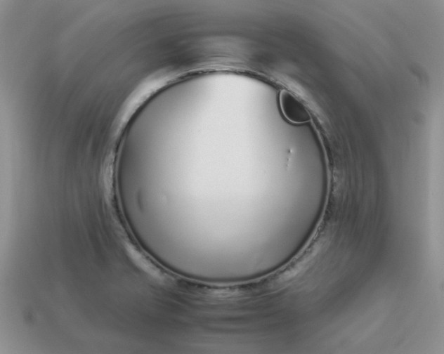 X0000113031421200909101849