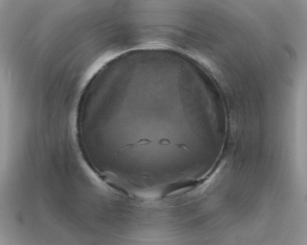 X0000113031422200909101849