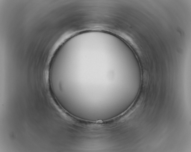 X0000113031424200909101849