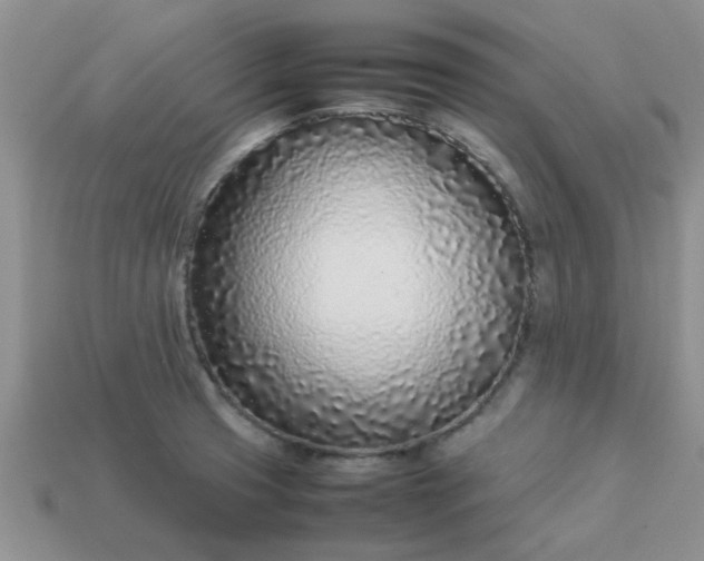 X0000113031425200909101849