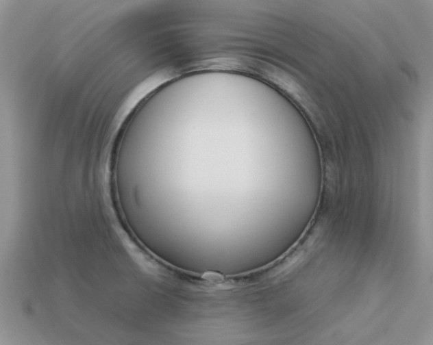 X0000113031426200909101849