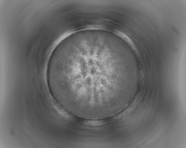 X0000113031427200909101849