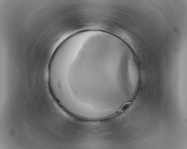 X0000113031428200909101849