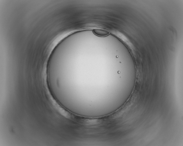 X0000113031431200909101849