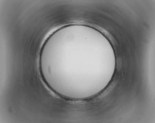 X0000113031432200909101849