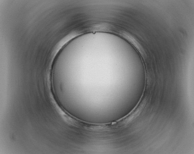 X0000113031434200909101849