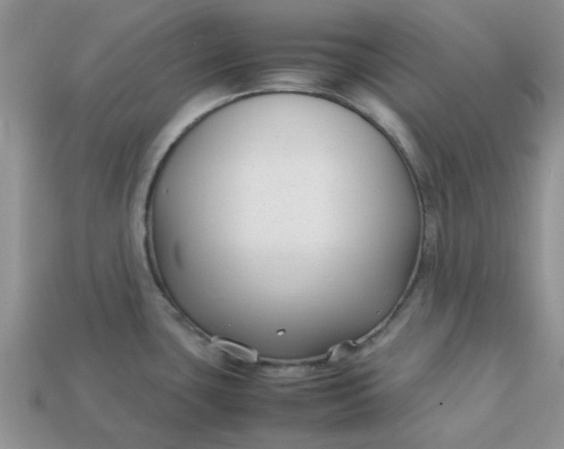 X0000113031435200909101849