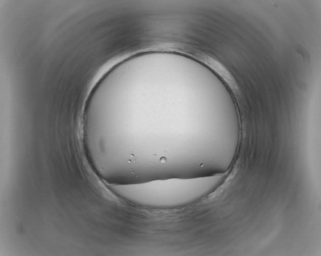 X0000113031436200909101849