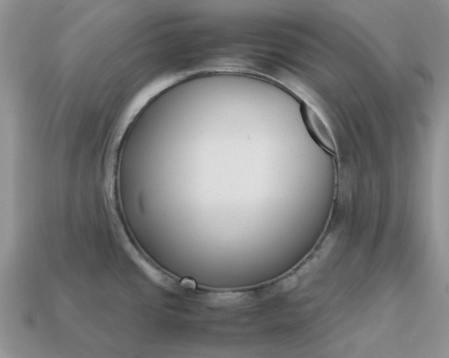 X0000113031437200909101849