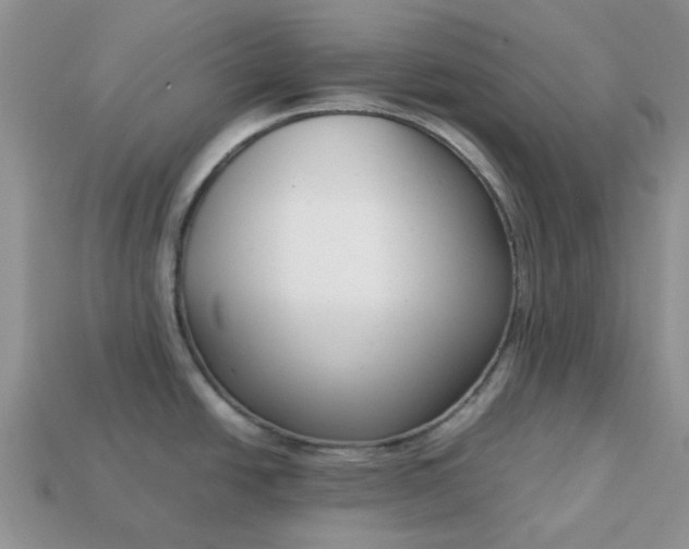 X0000113031438200909101849