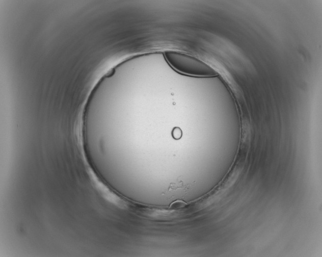 X0000113031439200909101849