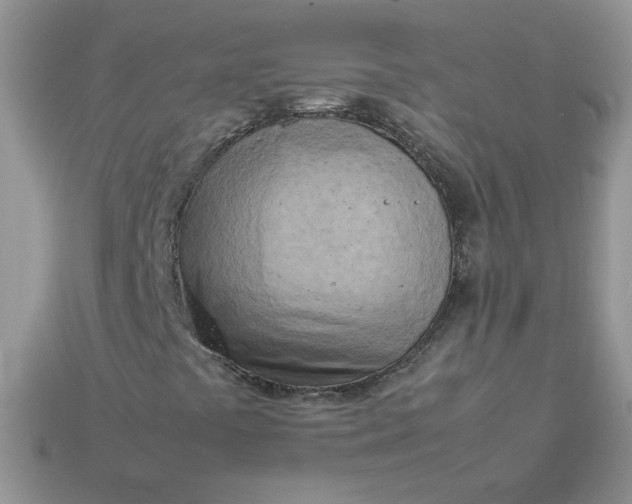 X0000113031441200909101848