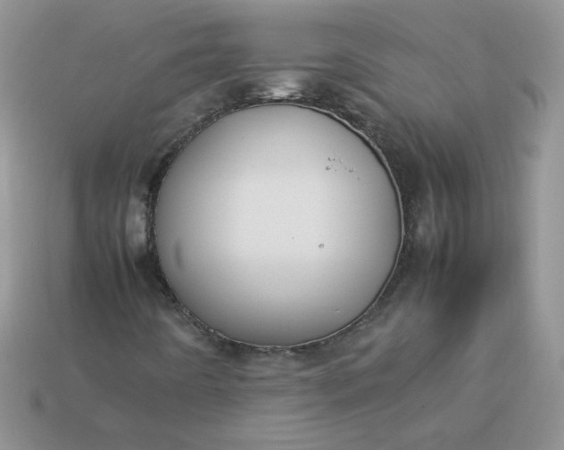 X0000113031442200909101848