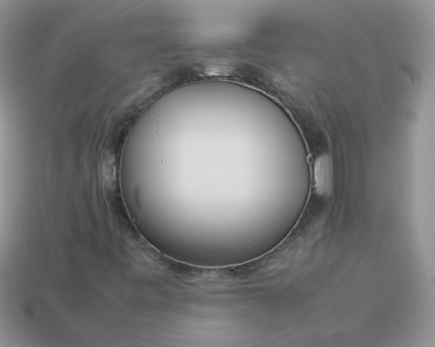 X0000113031443200909101848