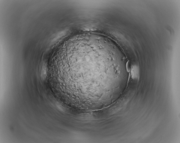 X0000113031444200909101848