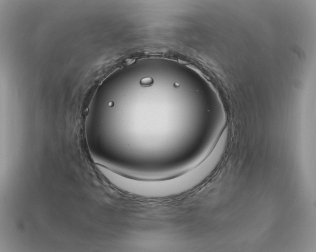 X0000113031445200909101848