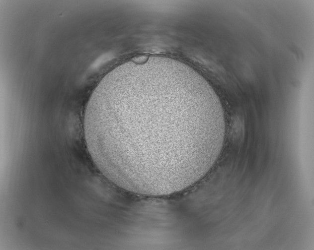 X0000113031446200909101848