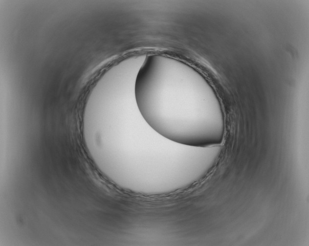 X0000113031448200909101848