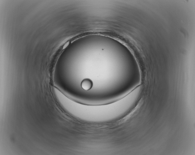 X0000113031449200909101848