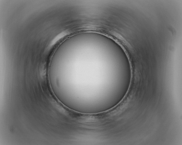 X0000113031450200909101848