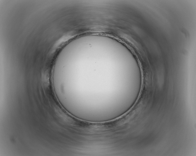 X0000113031451200909101848