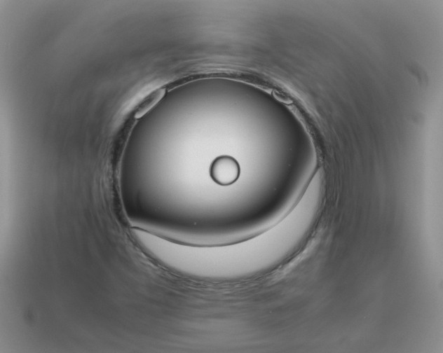 X0000113031453200909101848