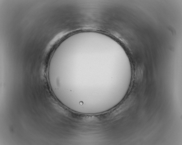 X0000113031454200909101848