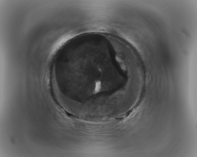 X0000113031455200909101848