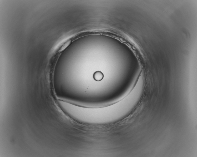 X0000113031456200909101848