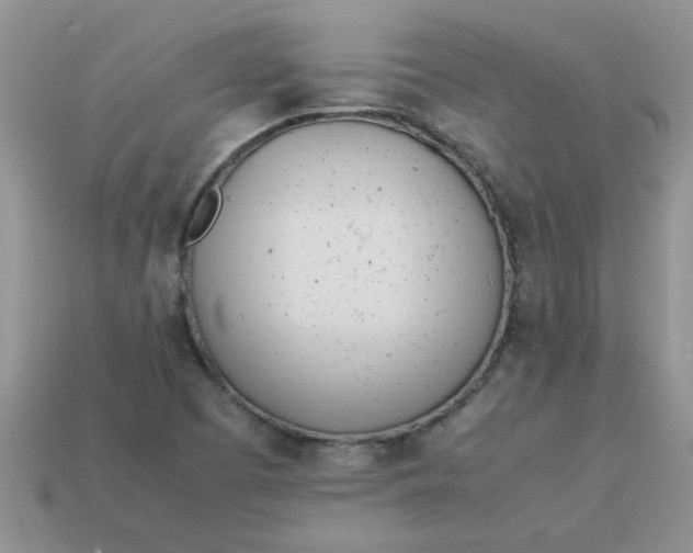 X0000113031457200909101848