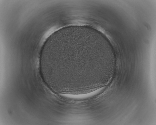 X0000113031459200909101848