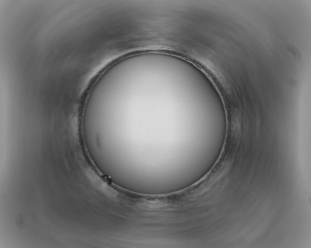 X0000113031460200909101848