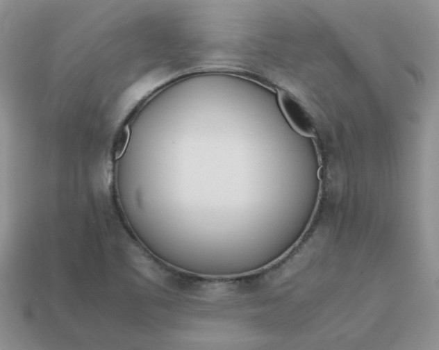 X0000113031461200909101848