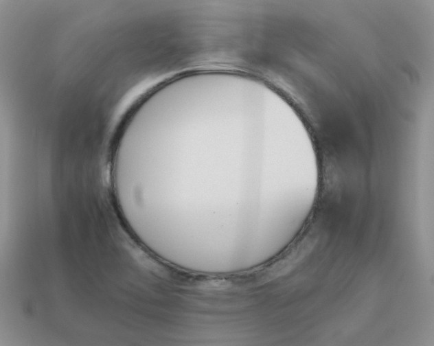 X0000113031462200909101848