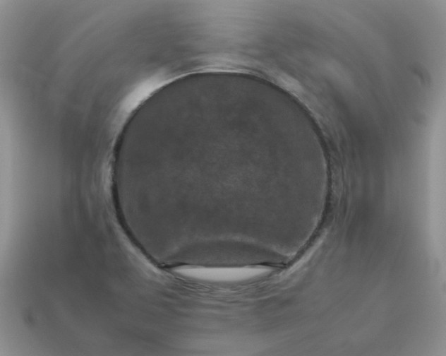 X0000113031463200909101848