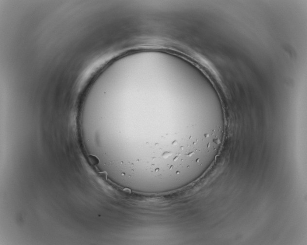 X0000113031464200909101848