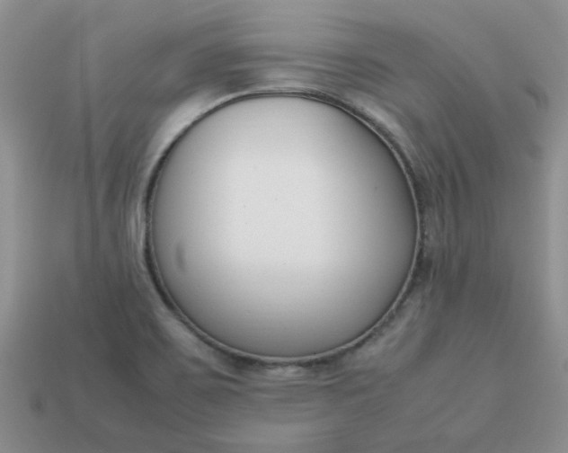 X0000113031467200909101848