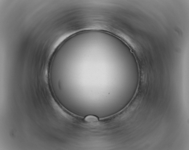 X0000113031468200909101848