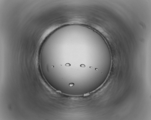 X0000113031469200909101848