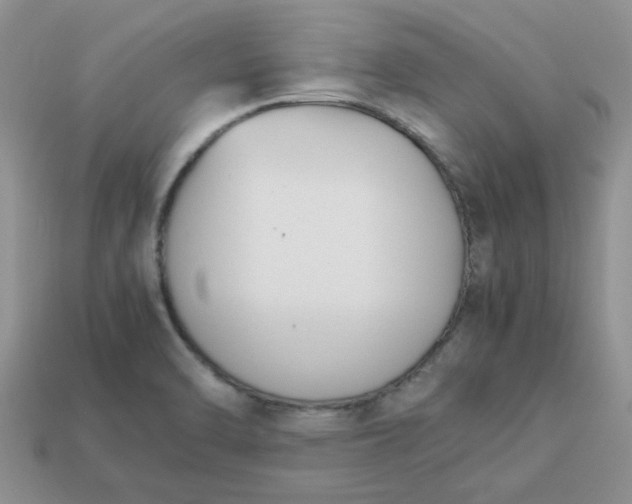 X0000113031470200909101848