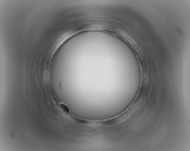 X0000113031473200909101848