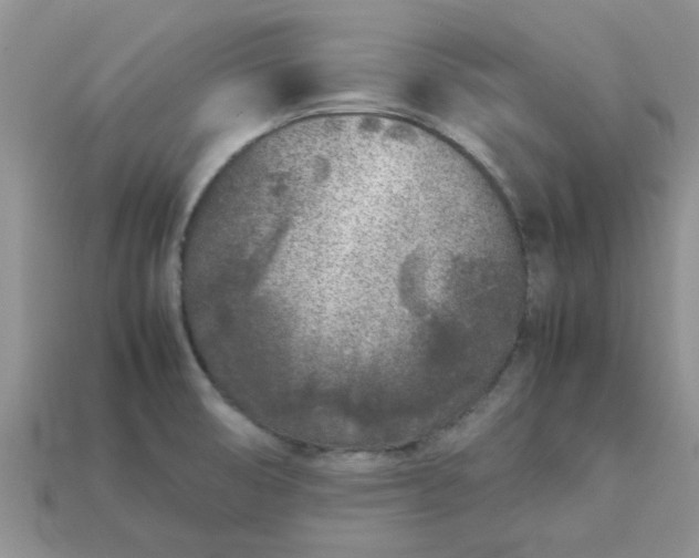 X0000113031474200909101848