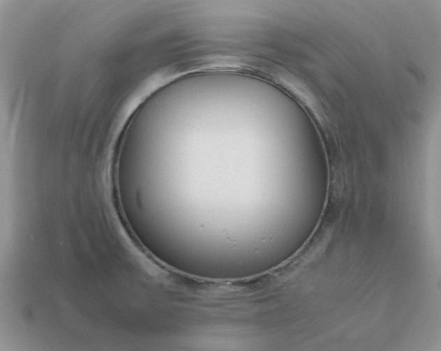 X0000113031475200909101848