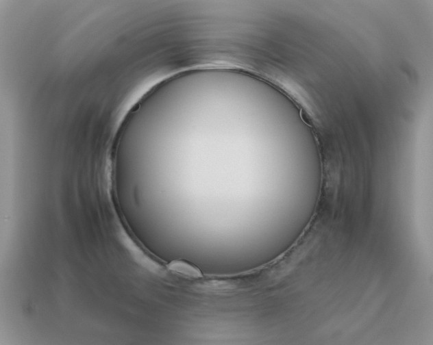 X0000113031476200909101848