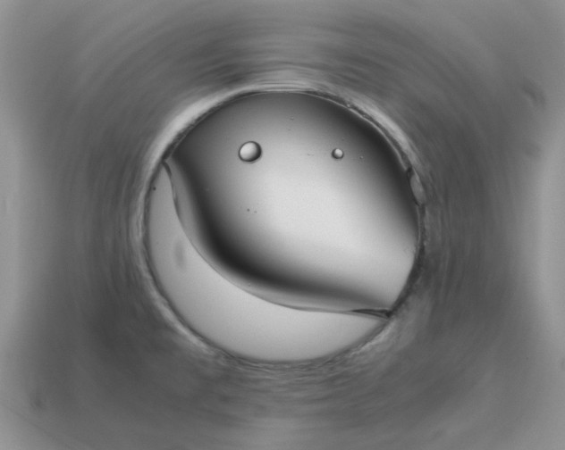 X0000113031477200909101848